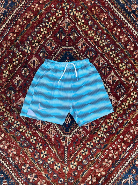 blue static shorts