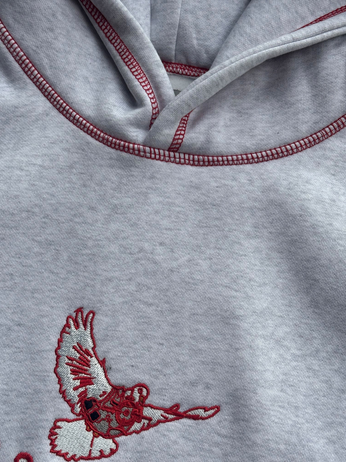 red eurostitch hoodie